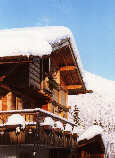 Les Fayards sous la neige
